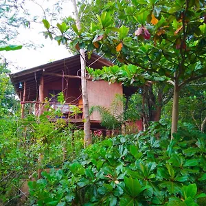 Akash Treehouse Séjour chez l'habitant