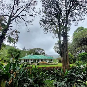 Gartmore Estate Maskeliya